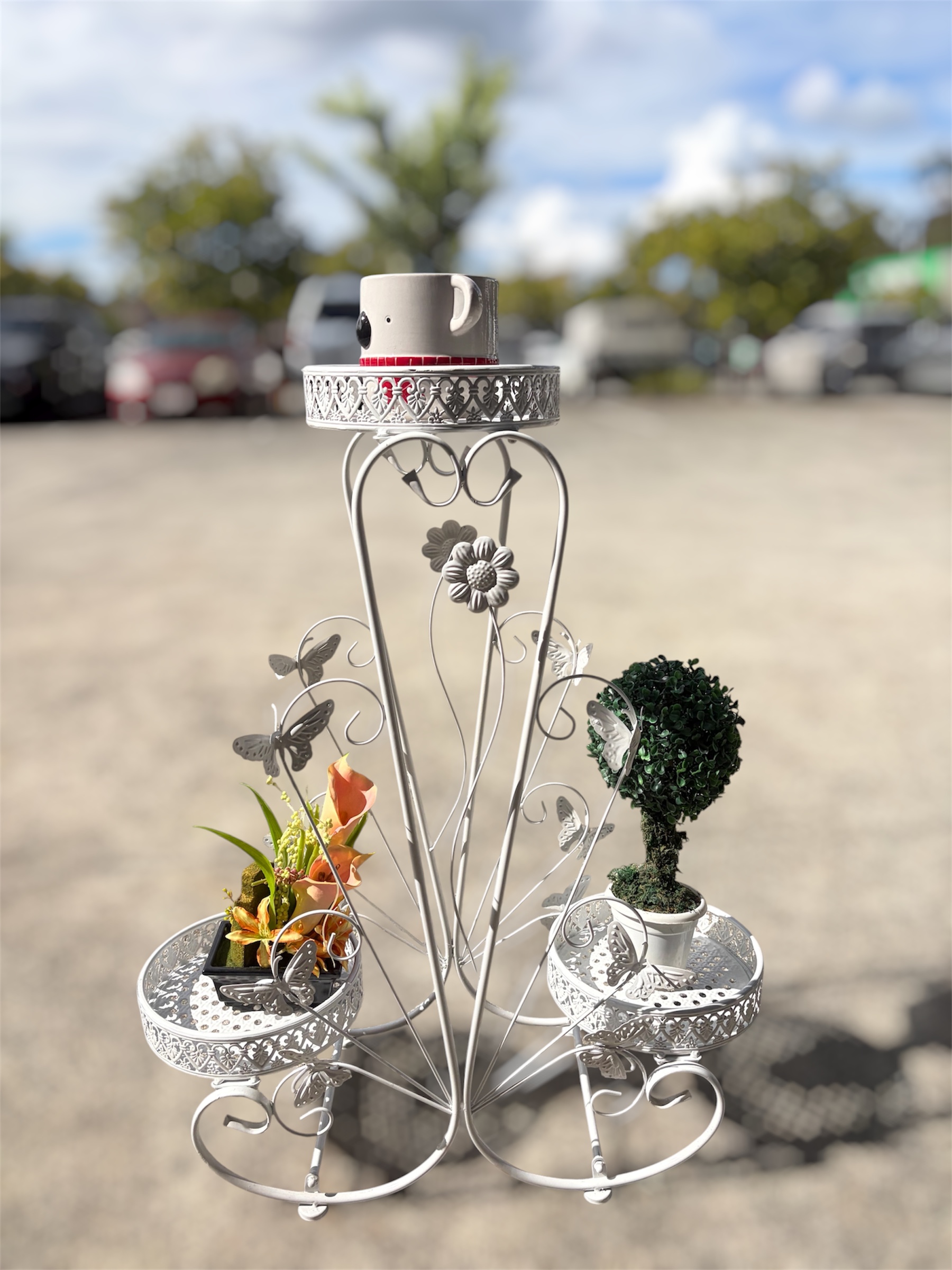 Ring display case front view